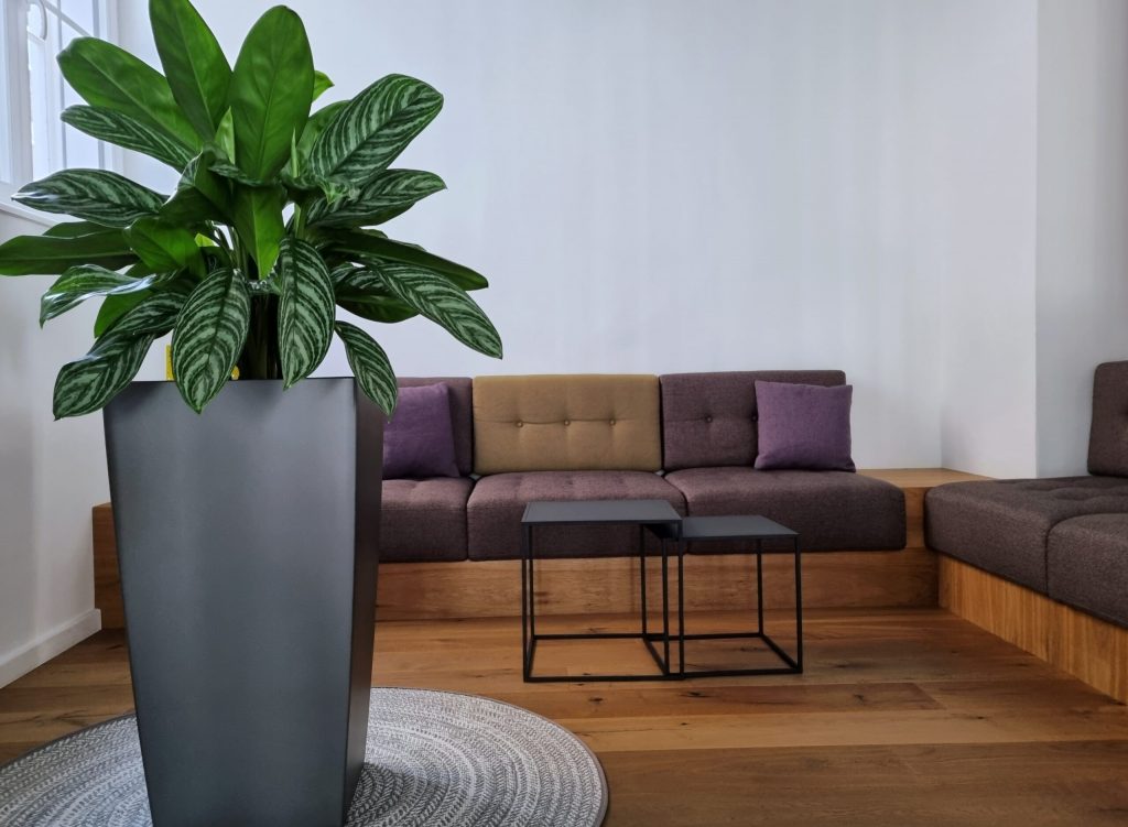 digital-forest-space-sofa